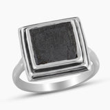 Muonionalusta Meteorite Silver Men's Rings