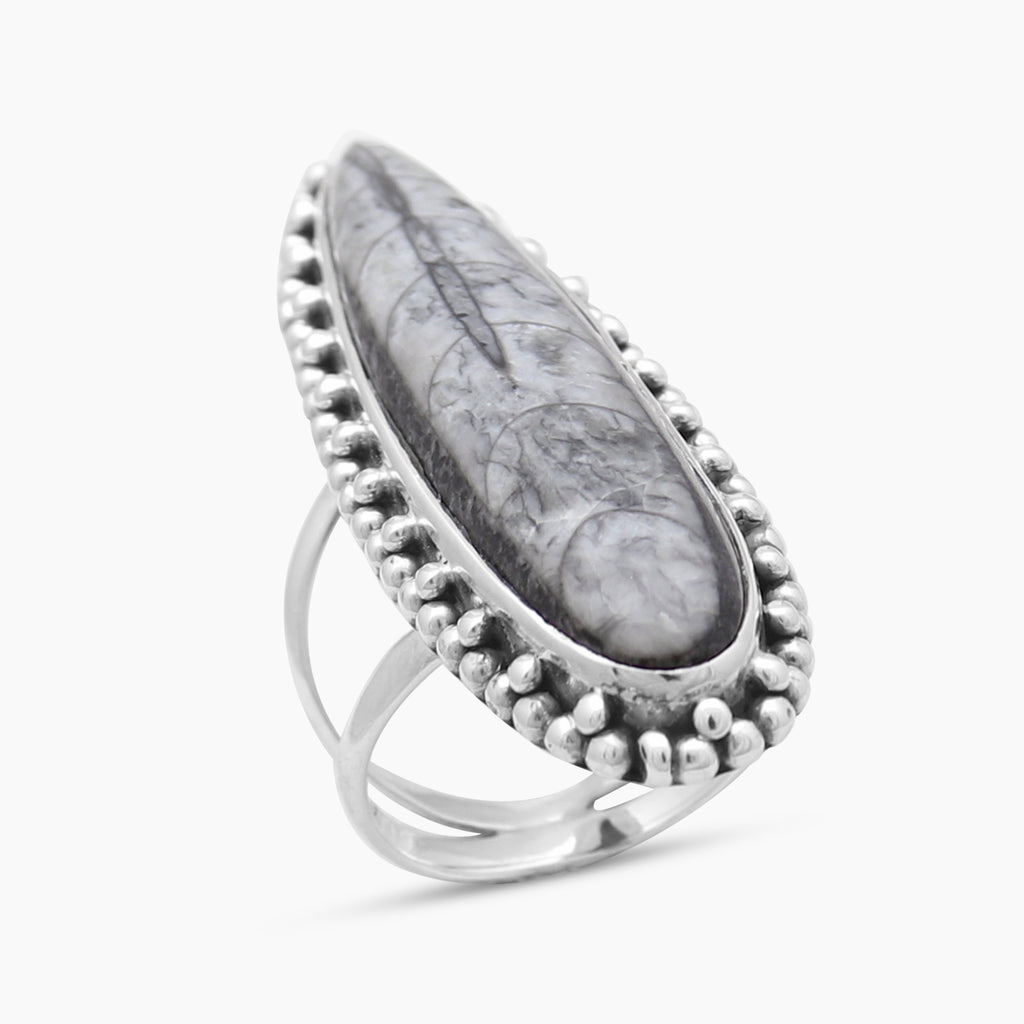 925 Sterling Silver Orthoceras Rings