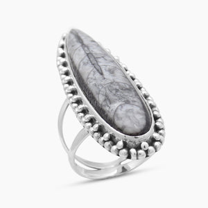 925 Sterling Silver Orthoceras Rings