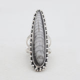925 Sterling Silver Orthoceras Rings
