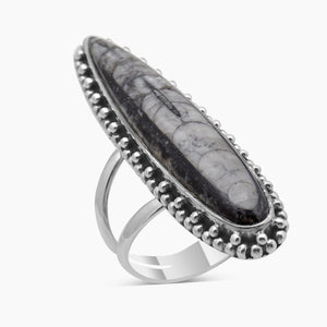 925 Sterling Silver Orthoceras Rings