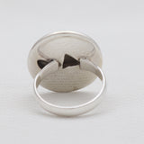 Meteorite & Meteorite Slice Silver Rings