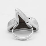 Shark Tooth Silver Rings