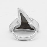 Shark Tooth Silver Rings