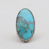Turquoise Spiny Oyster Silver Rings