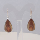 Botswana Agate Silver Earrings