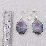 Botswana Agate Silver Earrings