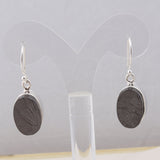 Shungite Silver Earrings