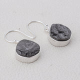 Shungite Silver Earrings