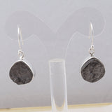 Shungite Silver Earrings