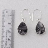 Shungite Silver Earrings