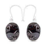 Shungite Silver Earrings