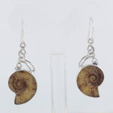 Ammonite Silver Earrings