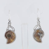 Ammonite Silver Earrings