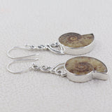 Ammonite Silver Earrings