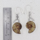 Ammonite Silver Earrings