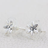 925 Starling Silver Earrings