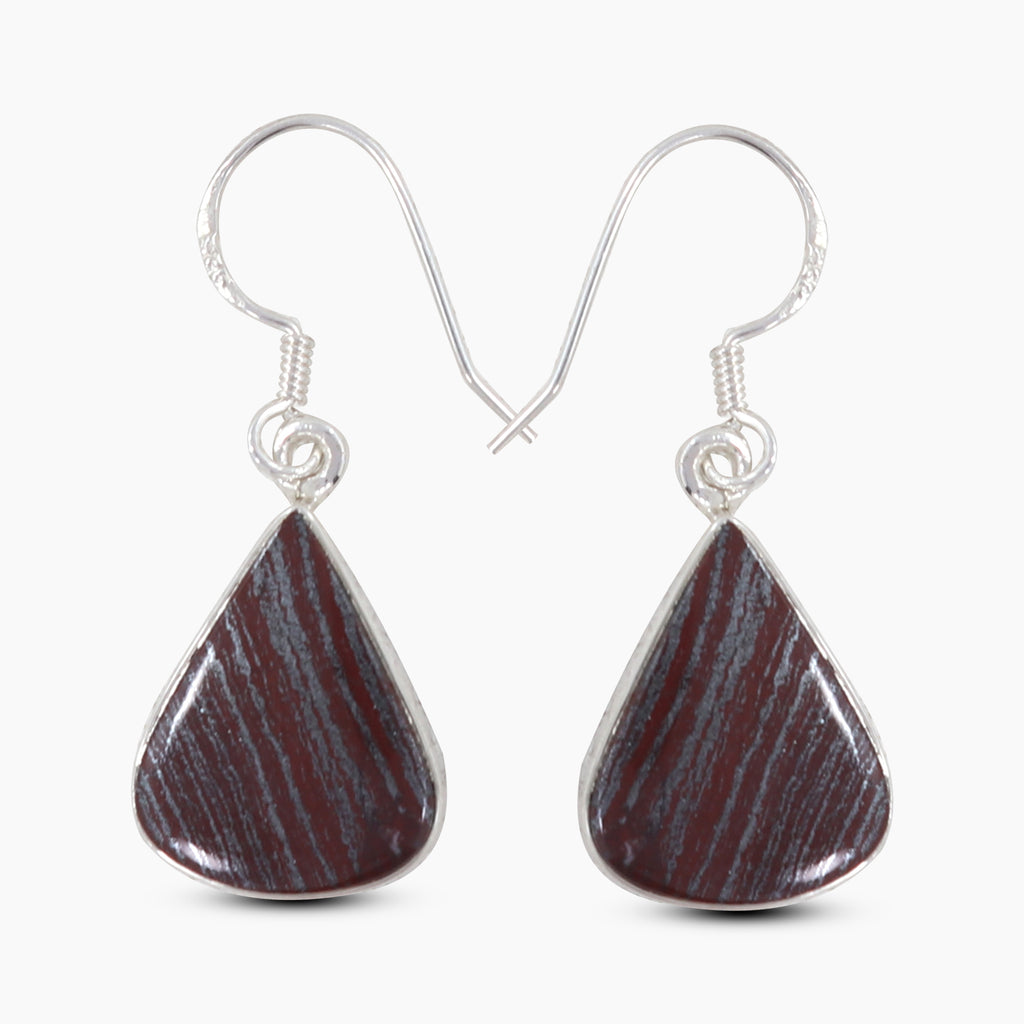 Iron Tigre eye Silver Earrings