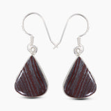 Iron Tigre eye Silver Earrings