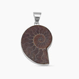 925 Silver Ammonite Fossil Pendants