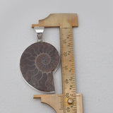 925 Silver Ammonite Fossil Pendants