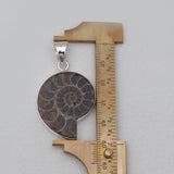 925 Silver Ammonite Fossil Pendants