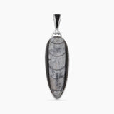 Orthoceras & Stingray Loop Silver Pendants