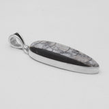Orthoceras & Stingray Loop Silver Pendants