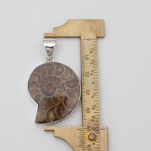 925 Sterling Silver Ammonite Pendants