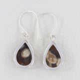 Peanut Wood Jasper Earrings Silver