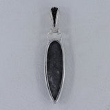 Orthoceras with Black Stingray Loop Silver Pendant