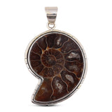 Unique Ammonite Fossil Jewelry Set 925 Sterling Silver