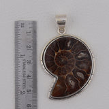 Unique Ammonite Fossil Jewelry Set 925 Sterling Silver