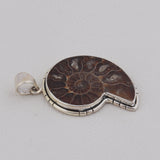 Unique Ammonite Fossil Jewelry Set 925 Sterling Silver