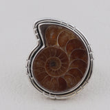 Unique Ammonite Fossil Jewelry Set 925 Sterling Silver