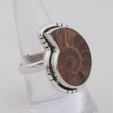 Unique Ammonite Fossil Jewelry Set 925 Sterling Silver