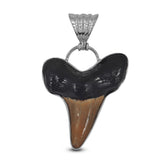 Megalodon Shark Tooth Silver Pendant