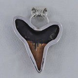 Megalodon Shark Tooth Silver Pendant