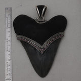 Megalodon Shark Tooth Silver Pendant