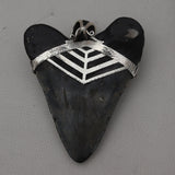 Megalodon Shark Tooth Silver Pendant