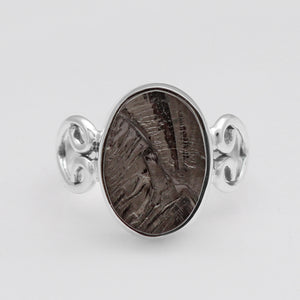 Shungite Silver Rings