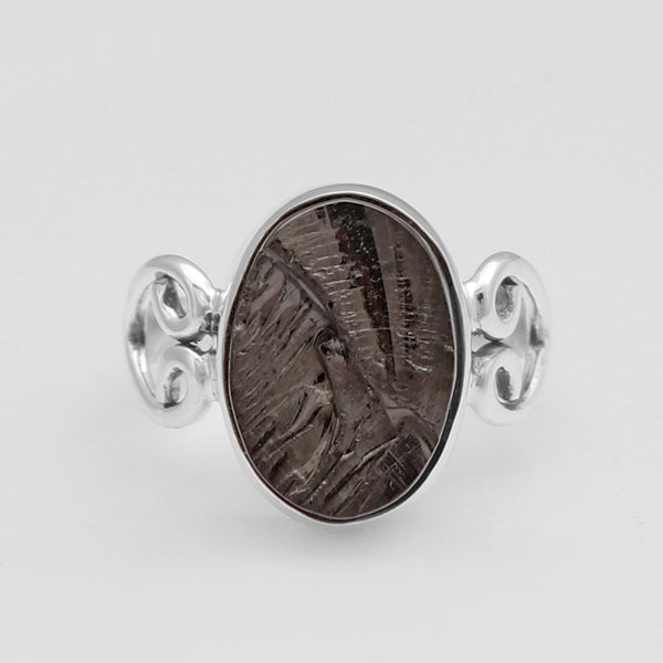 Shungite Silver Rings