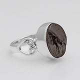 Shungite Silver Ring