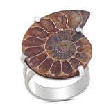 Ammonite Gemstone 925 Sterling Silver Pendant Set