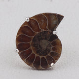 Ammonite Gemstone 925 Sterling Silver Pendant Set