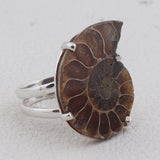 Ammonite Gemstone 925 Sterling Silver Pendant Set