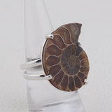 Ammonite Gemstone 925 Sterling Silver Pendant Set