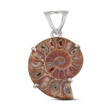 Ammonite Gemstone 925 Sterling Silver Pendant Set