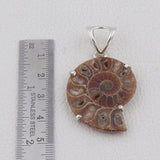 Ammonite Gemstone 925 Sterling Silver Pendant Set