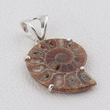 Ammonite Gemstone 925 Sterling Silver Pendant Set